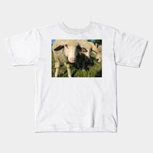 Curious sheep Kids T-Shirt